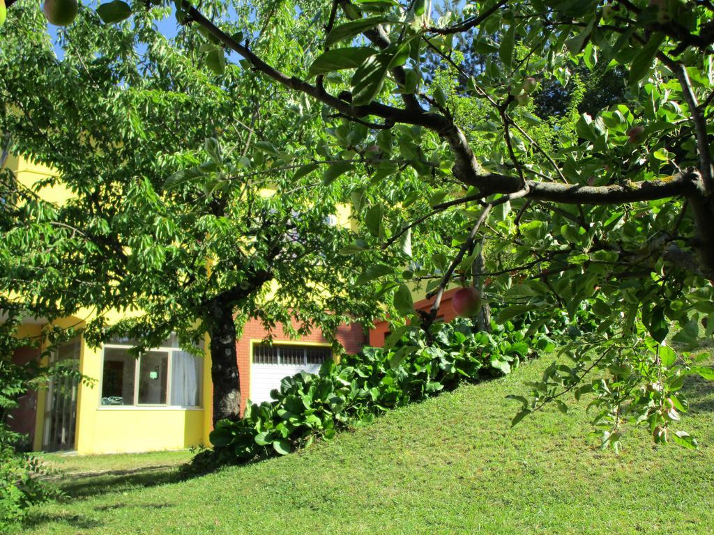 Casa Balducci Bed&Breakfast Mercatello sul Metauro Εξωτερικό φωτογραφία