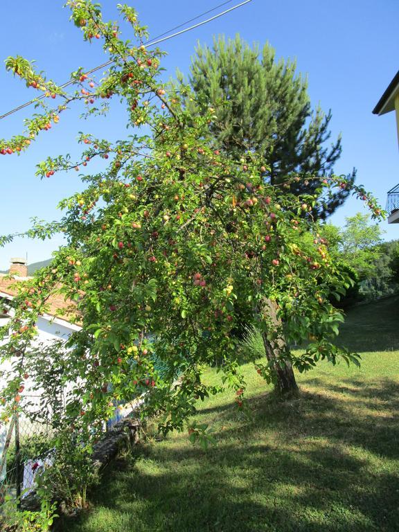 Casa Balducci Bed&Breakfast Mercatello sul Metauro Εξωτερικό φωτογραφία